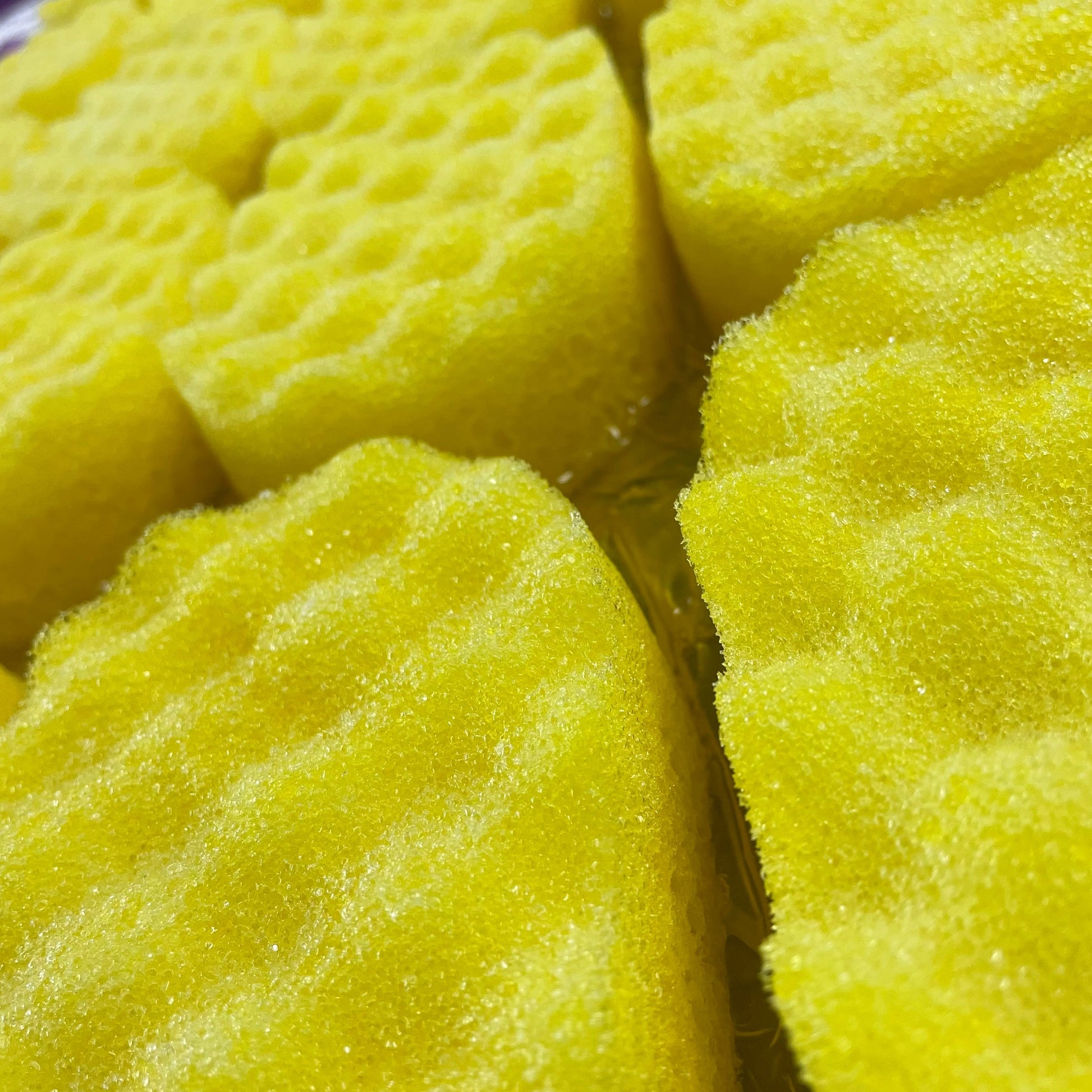 Millionaire Soap Sponges